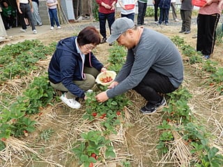 ハサミでちょっきん